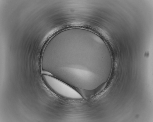 X0000091540930200709141453