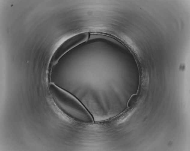 X0000091540932200709141453