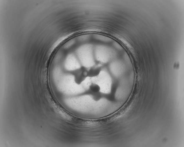 X0000091540933200709141453