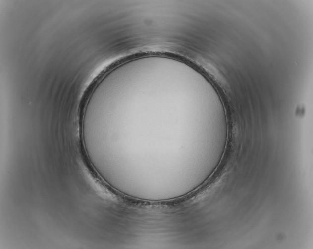 X0000091540934200709141453