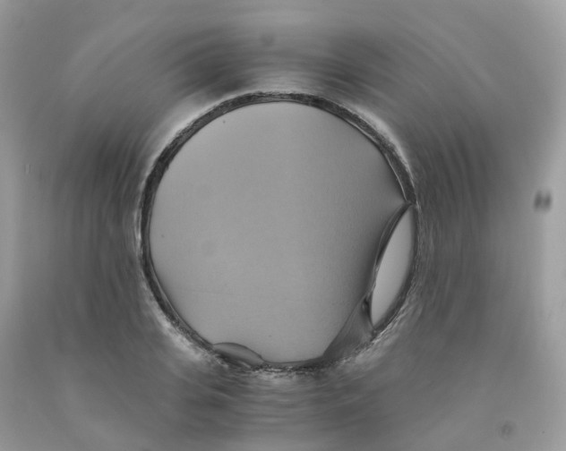 X0000091540935200709141453