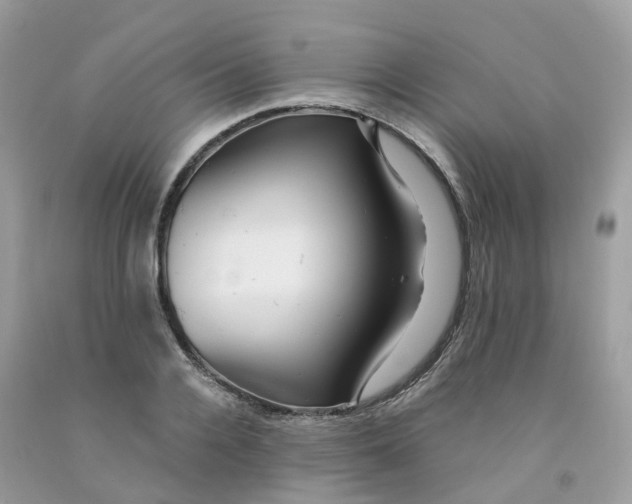 X0000091540936200709141453