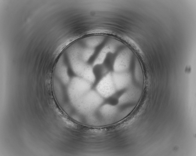 X0000091540937200709141453