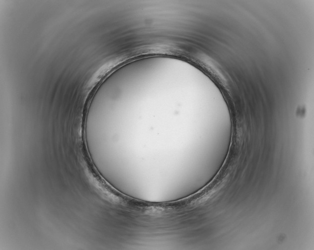 X0000091540938200709141453