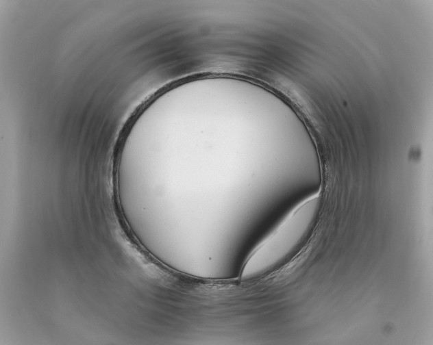 X0000091540939200709141453