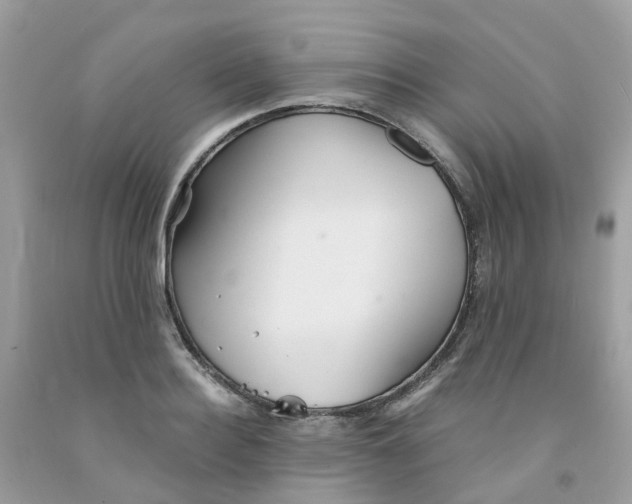 X0000091540940200709141453