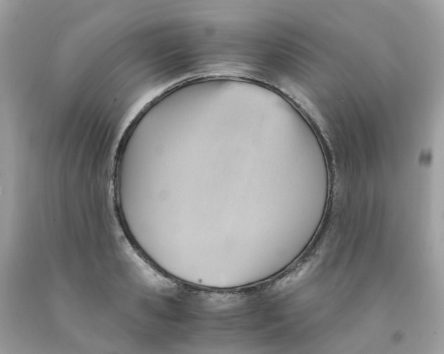 X0000091540941200709141453