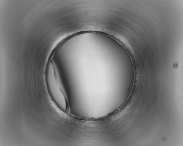 X0000091540942200709141453