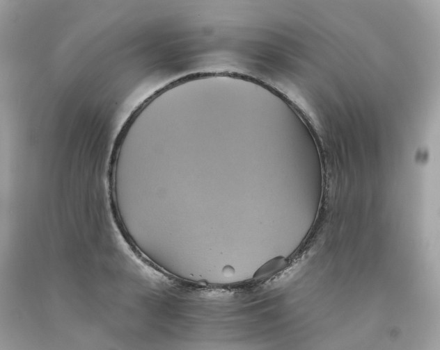 X0000091540943200709141453