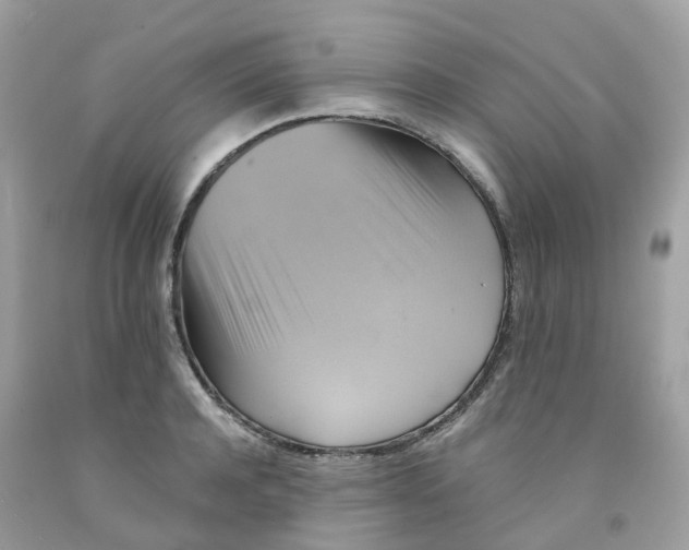 X0000091540944200709141453