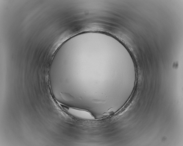 X0000091540945200709141453