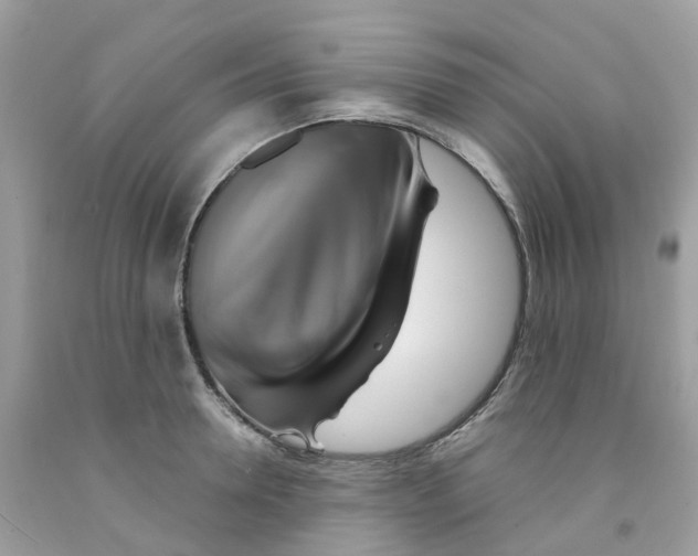 X0000091540946200709141453