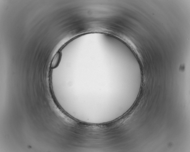 X0000091540947200709141453