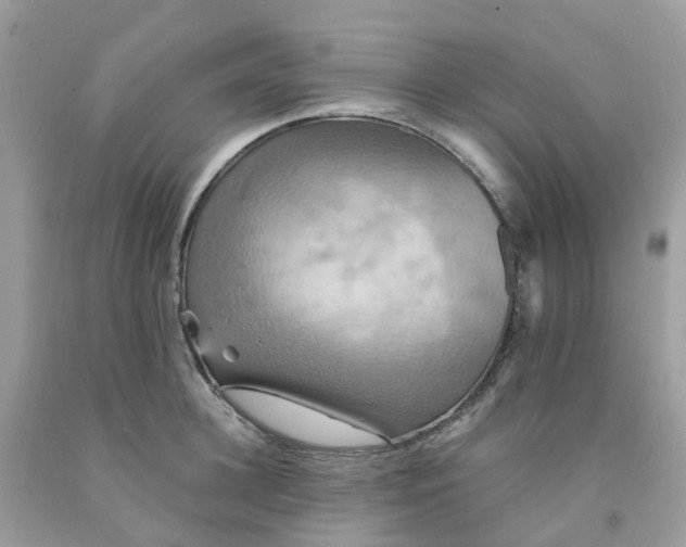 X0000091540948200709141453