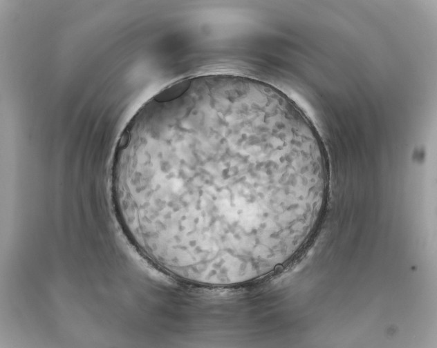 X0000091540949200709141453