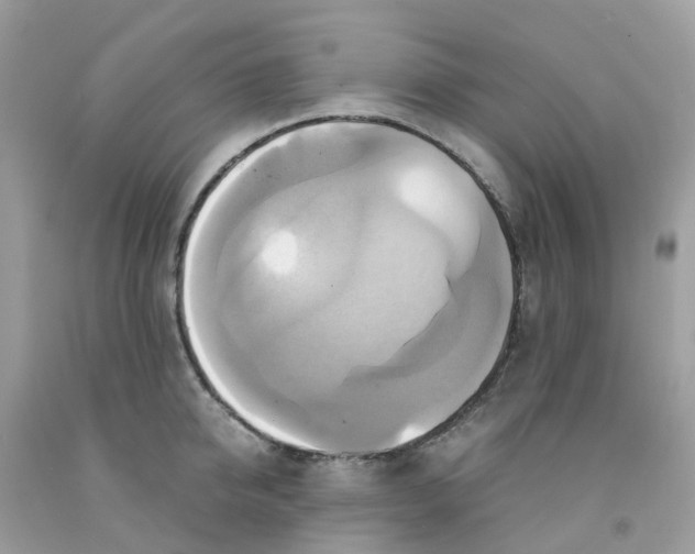 X0000091540950200709141453