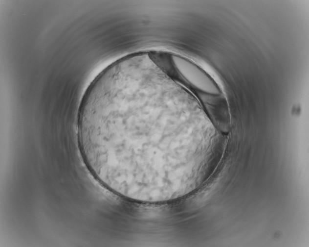 X0000091540951200709141453