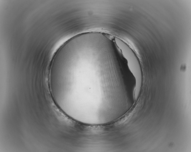 X0000091540952200709141453