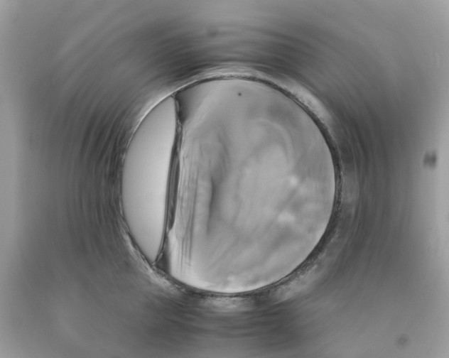 X0000091540953200709141453