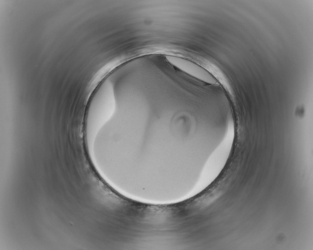 X0000091540954200709141453