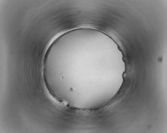 X0000091540955200709141453