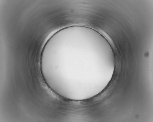 X0000091540956200709141453