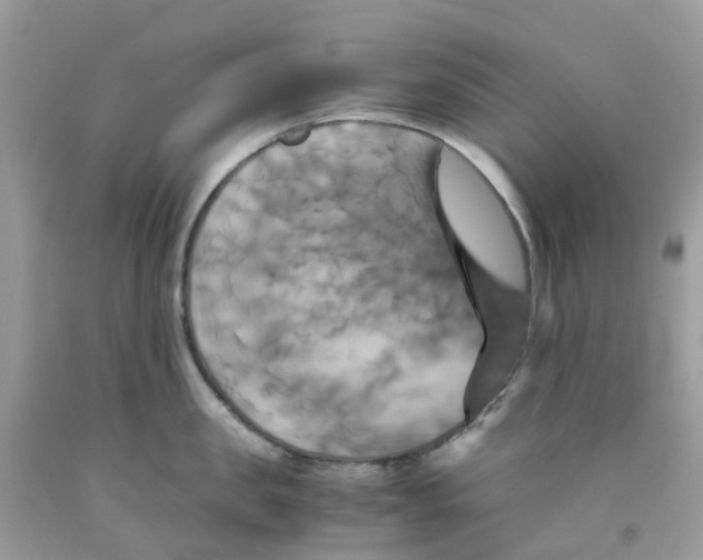 X0000091540957200709141453