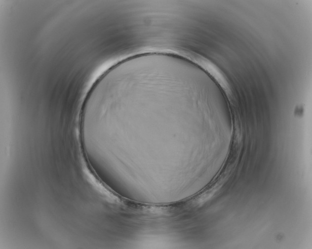 X0000091540958200709141453