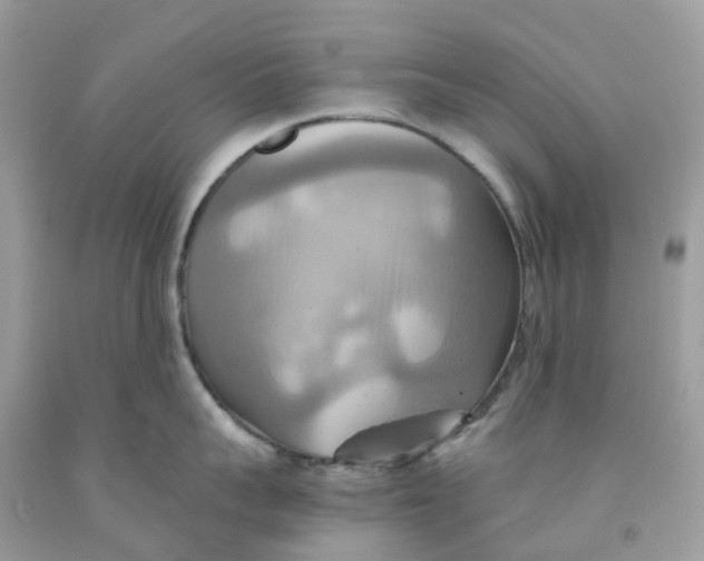 X0000091540959200709141453