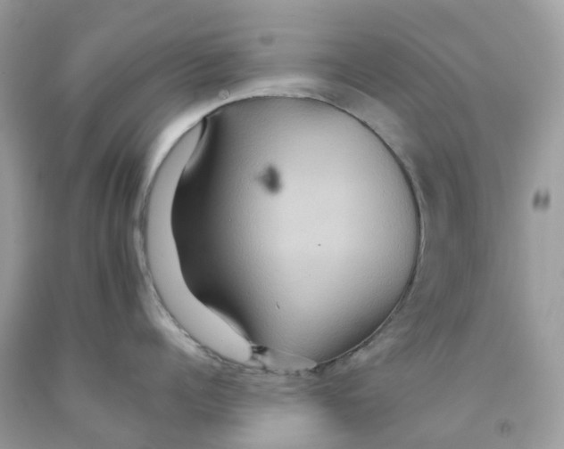 X0000091540960200709141453