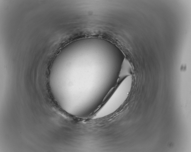 X0000091540961200709141452