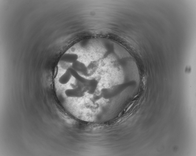 X0000091540963200709141452