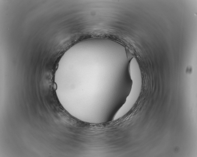 X0000091540964200709141452