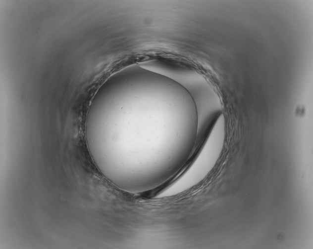 X0000091540965200709141452