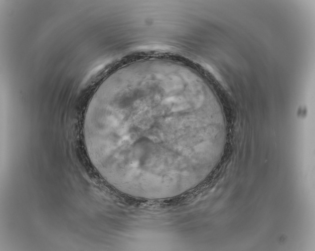 X0000091540967200709141452