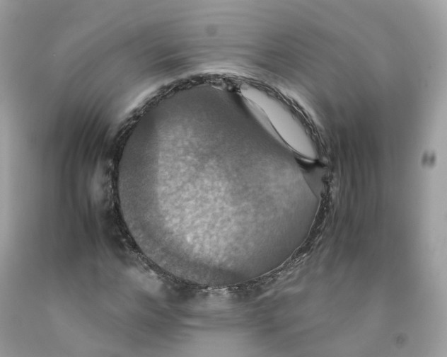 X0000091540968200709141452