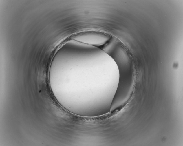 X0000091540969200709141452