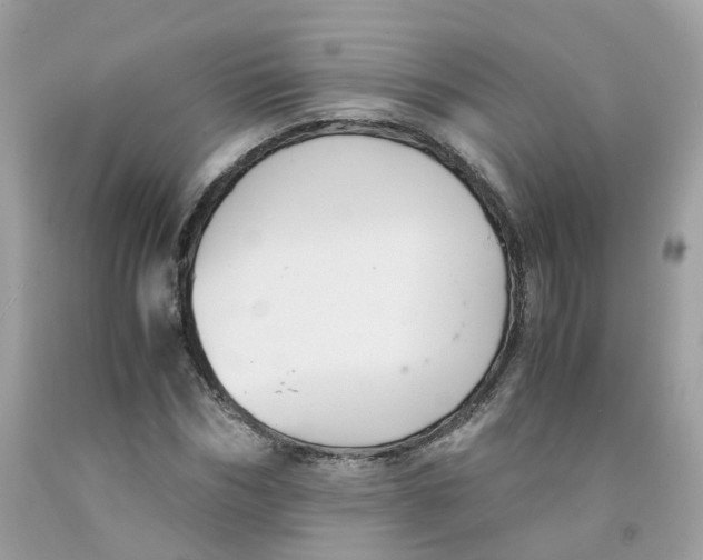 X0000091540970200709141452