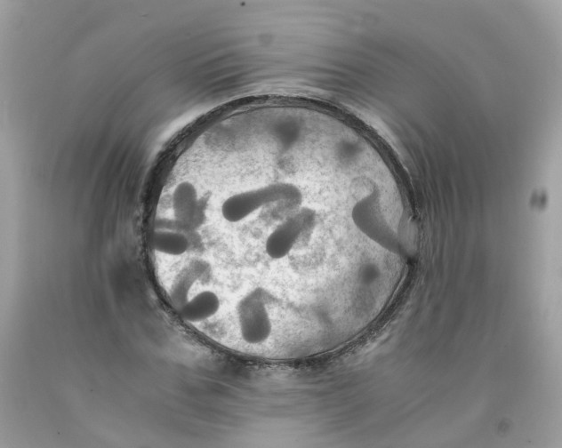 X0000091540971200709141452