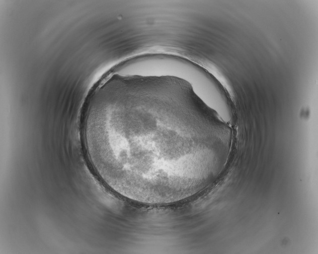 X0000091540972200709141452