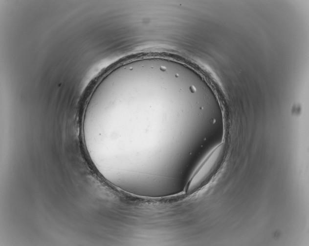 X0000091540973200709141452