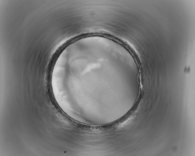 X0000091540975200709141452