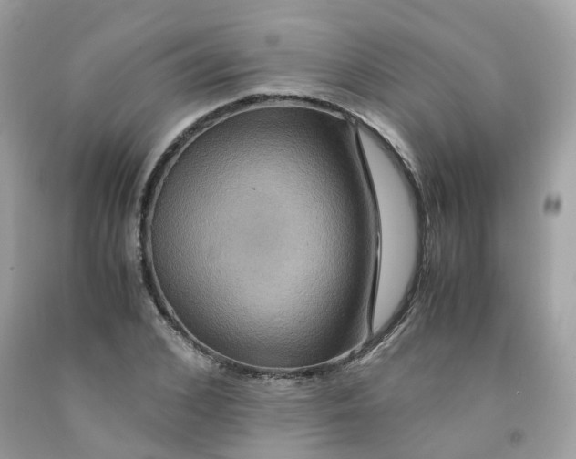 X0000091540976200709141452