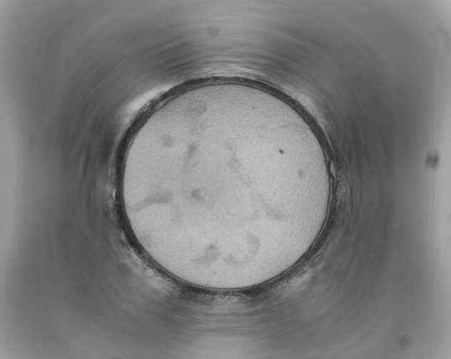 X0000091540979200709141452