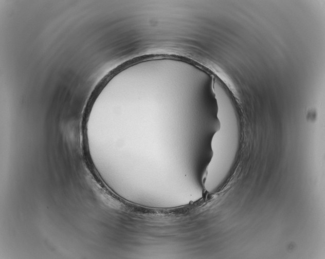 X0000091540980200709141452