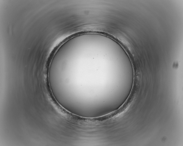 X0000091540981200709141452