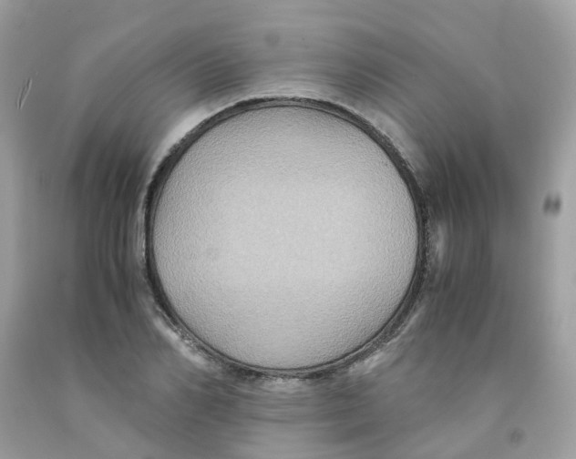 X0000091540982200709141452