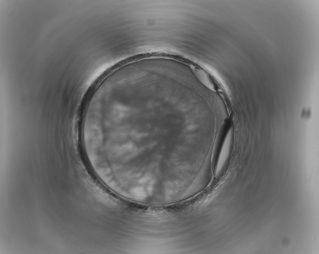 X0000091540983200709141452