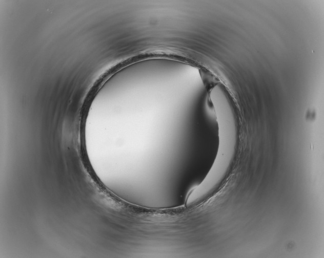 X0000091540984200709141452