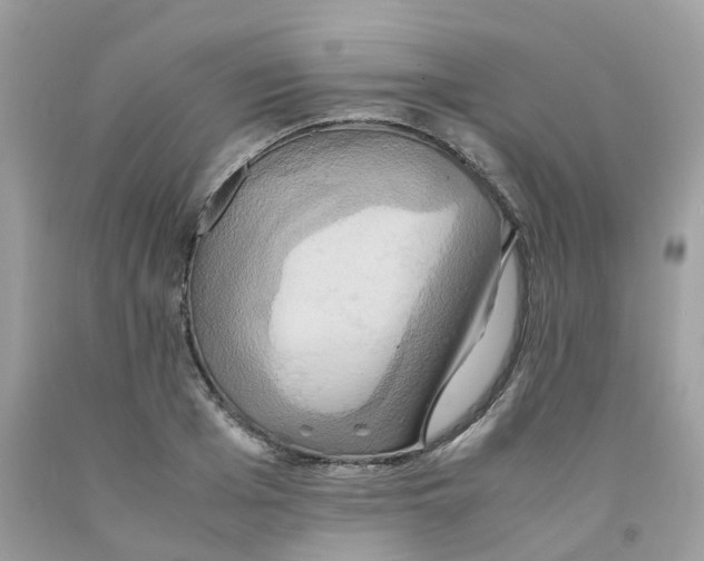 X0000091540985200709141452